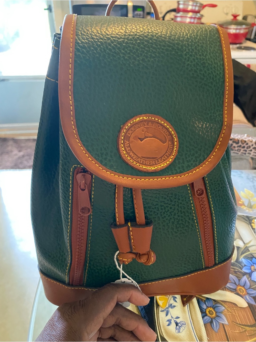 Dooney & Bourke Green and Brown Pebbled Leather Mini Backpack